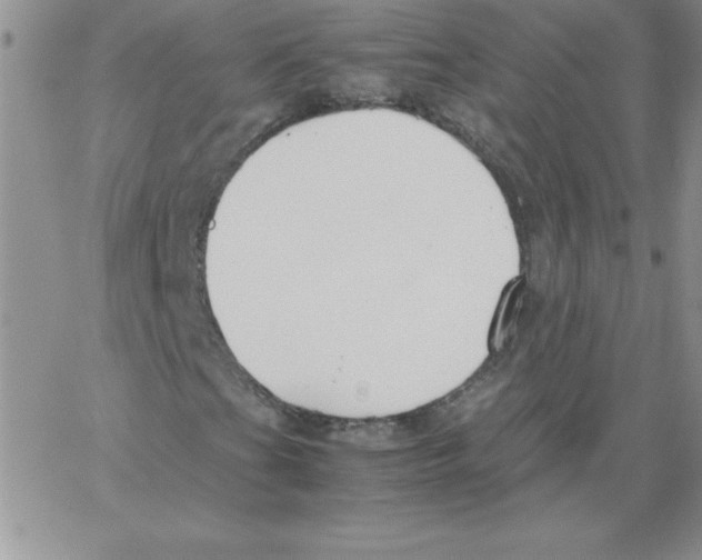 X0000066981201200604211923