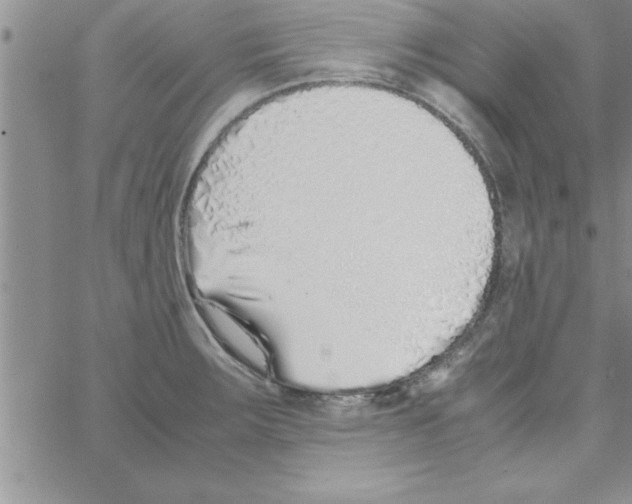 X0000066981283200604211922