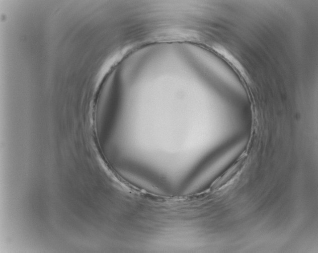 X0000066981477200604211919