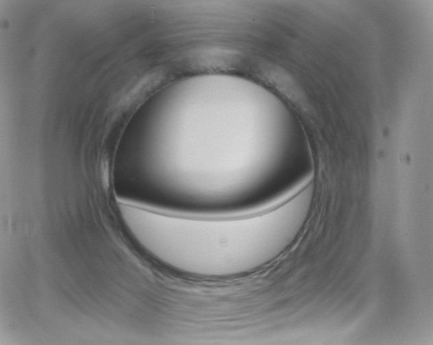X0000066990021200603241031