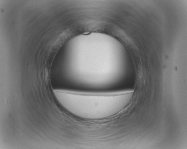 X0000066990025200603241031