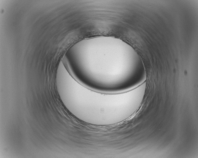 X0000066990045200603241031