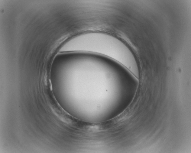 X0000066990068200603241031