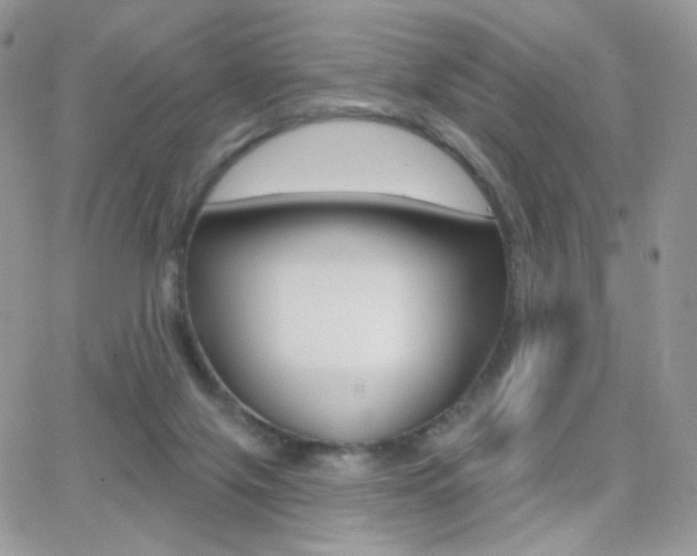 X0000066990071200603241031