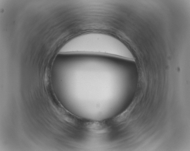 X0000066990074200603241031