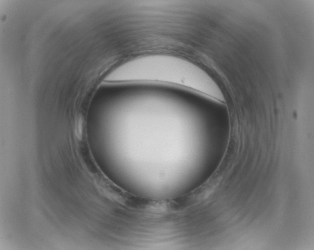 X0000066990076200603241031