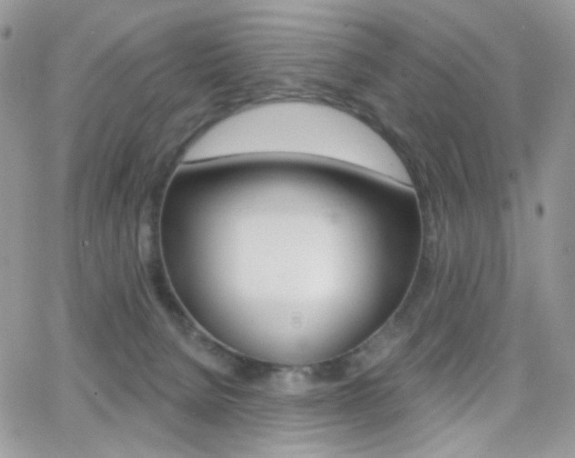 X0000066990080200603241031