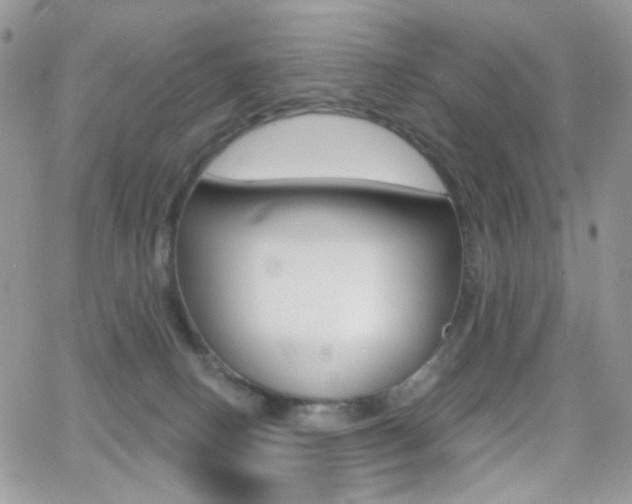 X0000066990082200603241031