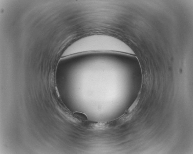 X0000066990092200603241031