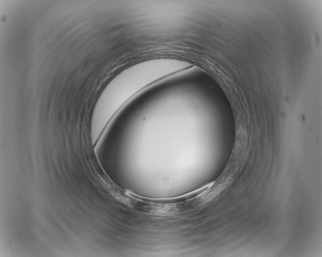 X0000066990096200603241031