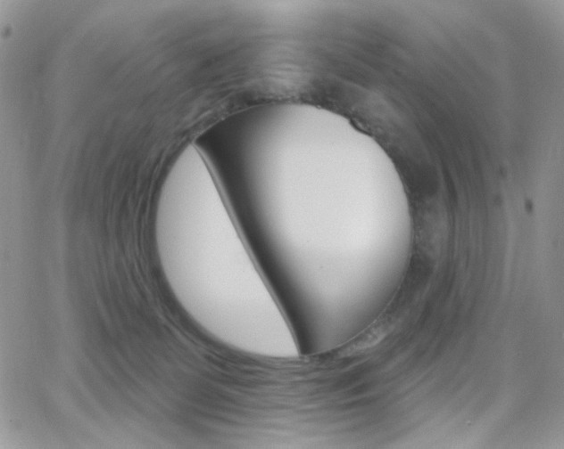 X0000066990131200603241030