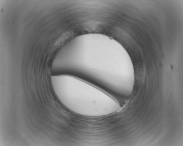 X0000066990132200603241030