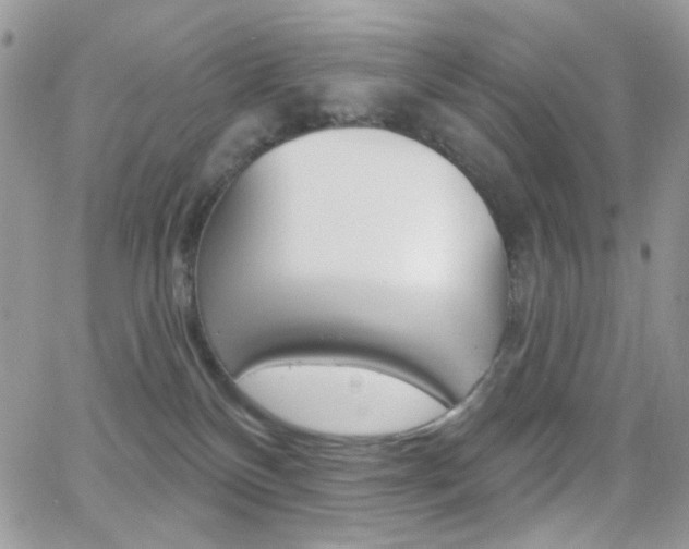 X0000066990136200603241030