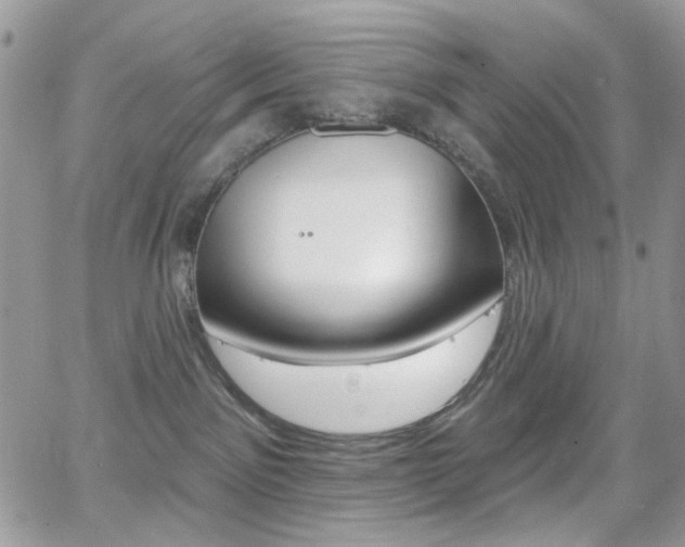 X0000066990141200603241030