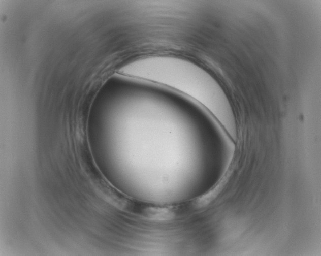 X0000066990170200603241029