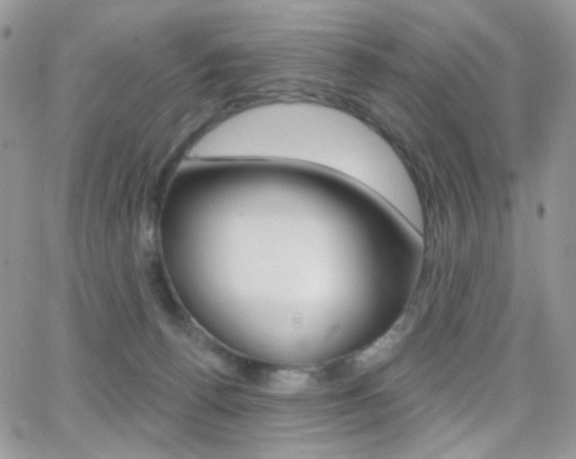 X0000066990176200603241029