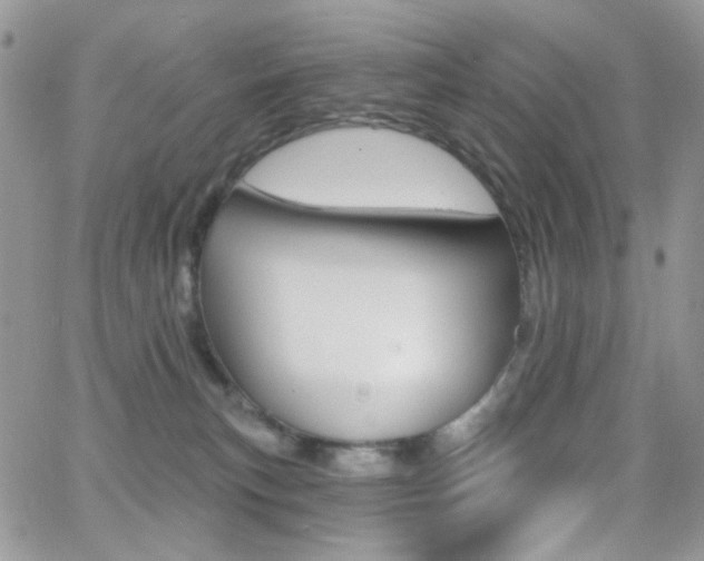 X0000066990183200603241029