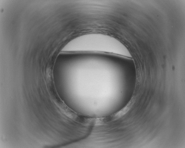 X0000066990184200603241029