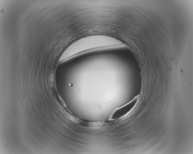 X0000066990192200603241029