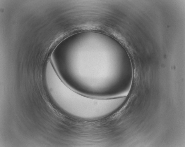 X0000066990201200603241029