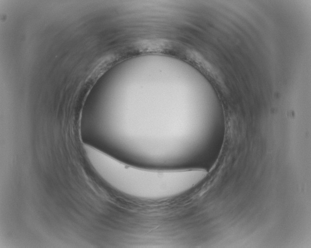 X0000066990209200603241028