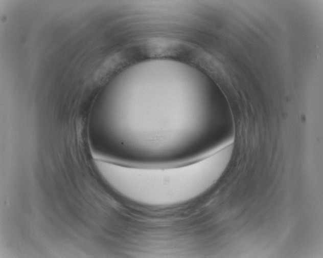 X0000066990219200603241028