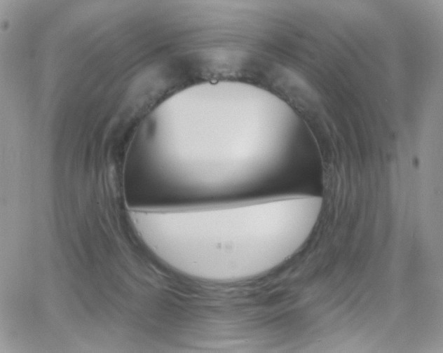 X0000066990224200603241028