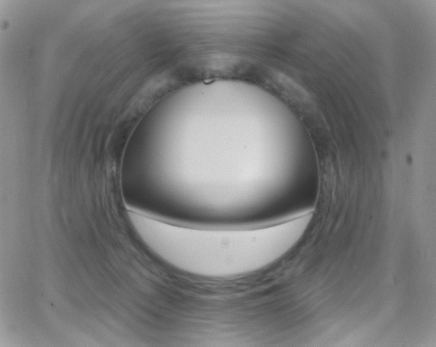 X0000066990225200603241028