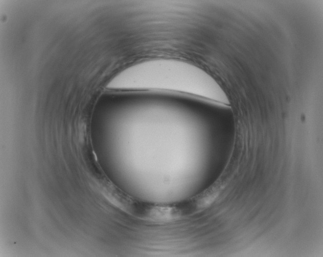 X0000066990227200603241028