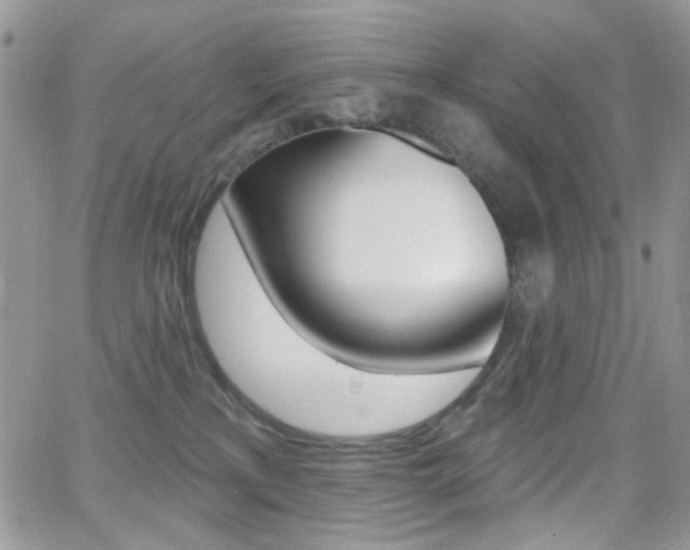 X0000066990233200603241028