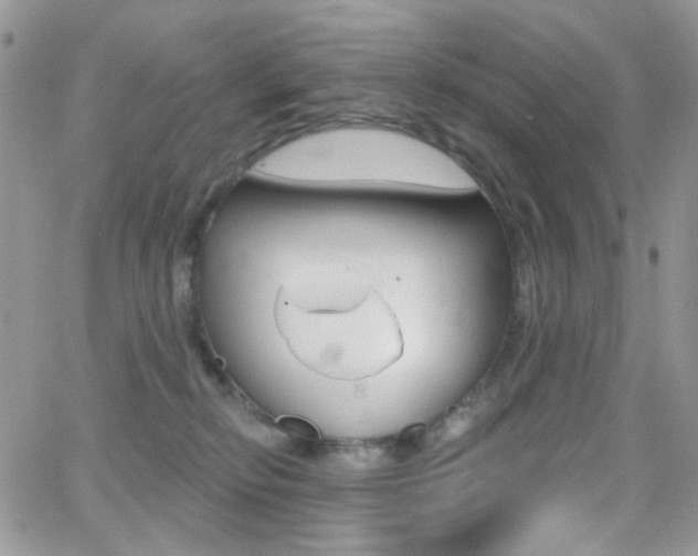 X0000066990278200603241028