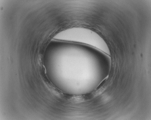 X0000066990280200603241028