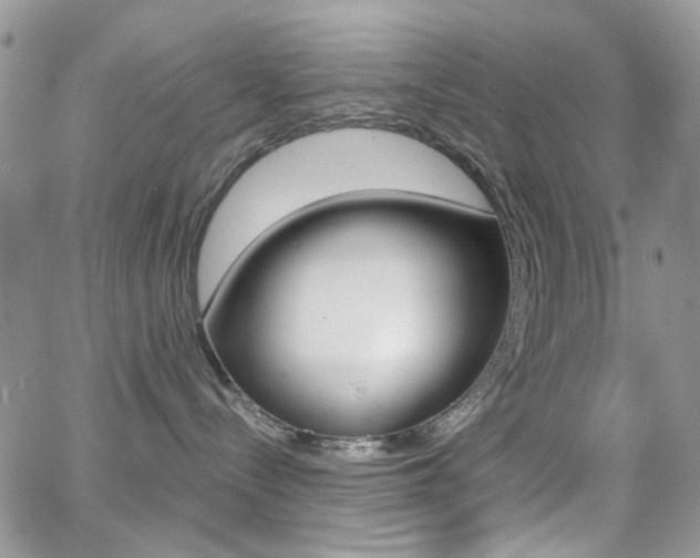 X0000066990288200603241028