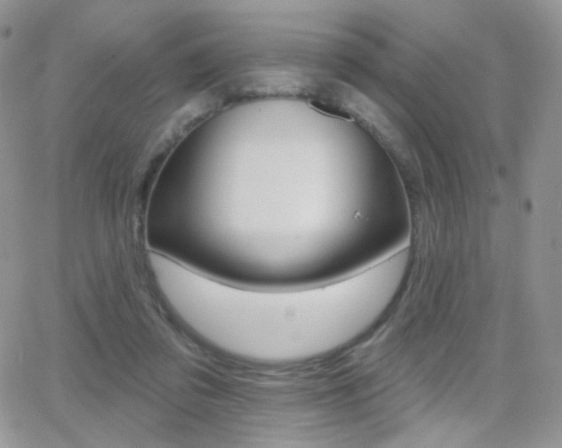 X0000066990309200603241027