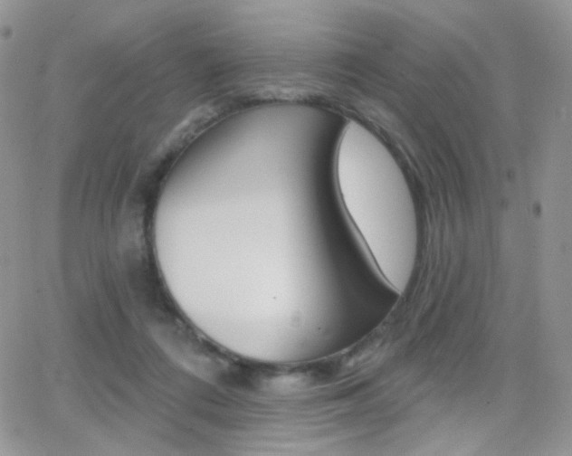 X0000066990312200603241027