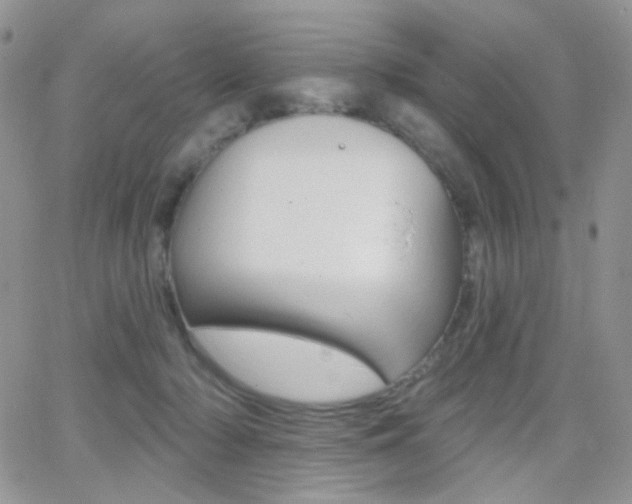 X0000066990318200603241027