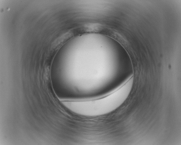 X0000066990325200603241027