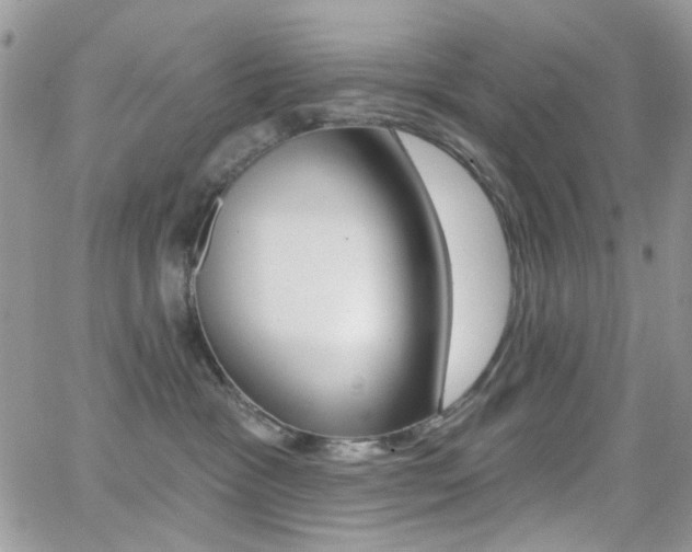 X0000066990333200603241026