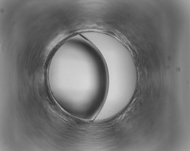 X0000066990344200603241026