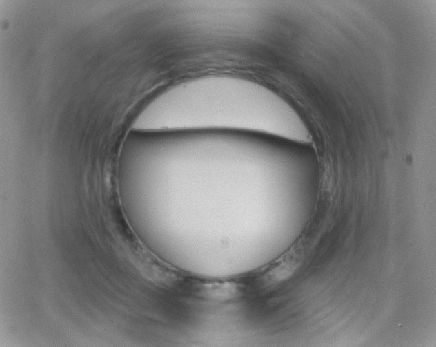 X0000066990363200603241026