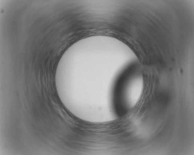 X0000066990380200603241026
