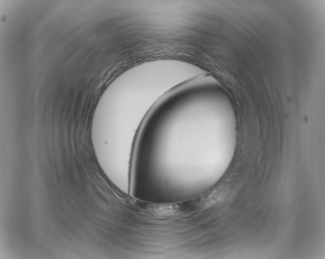 X0000066990384200603241026