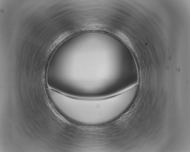 X0000066990389200603241025