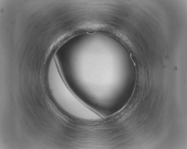 X0000066990399200603241025