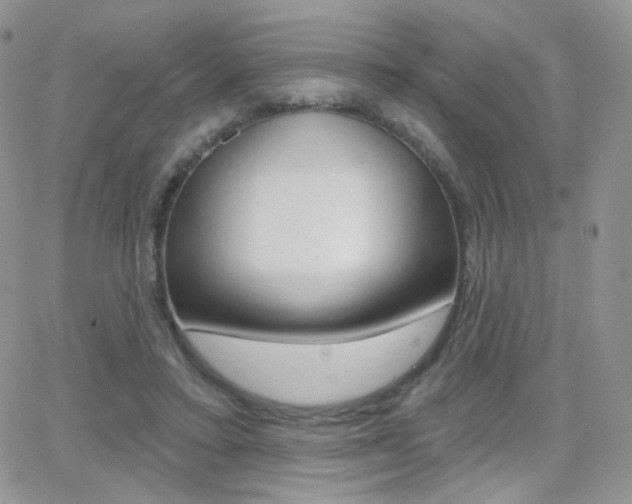 X0000066990403200603241025