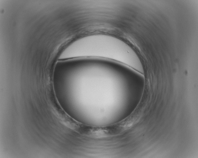 X0000066990407200603241025