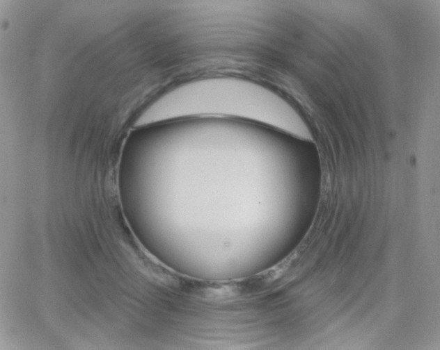 X0000066990411200603241025
