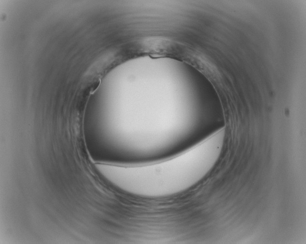 X0000066990413200603241025