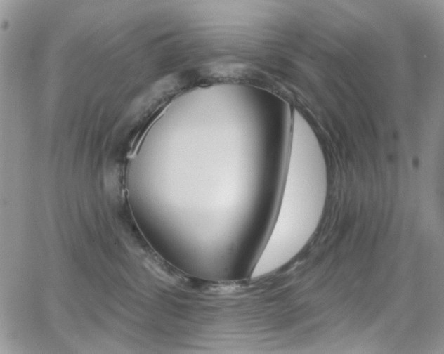 X0000066990428200603241025