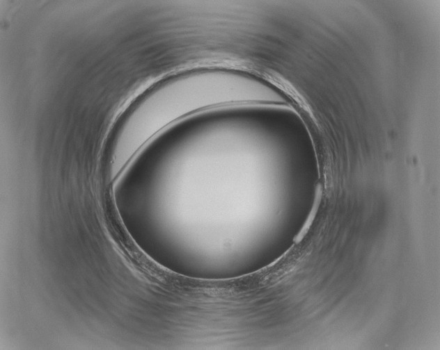 X0000066990436200603241024